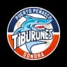 Tiburones de Puerto Peñasco